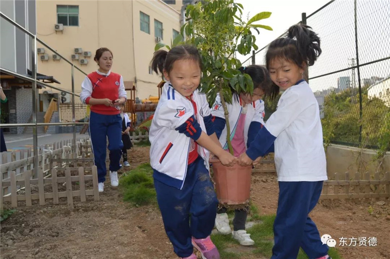 东方贤德幼儿园幼儿植树活动