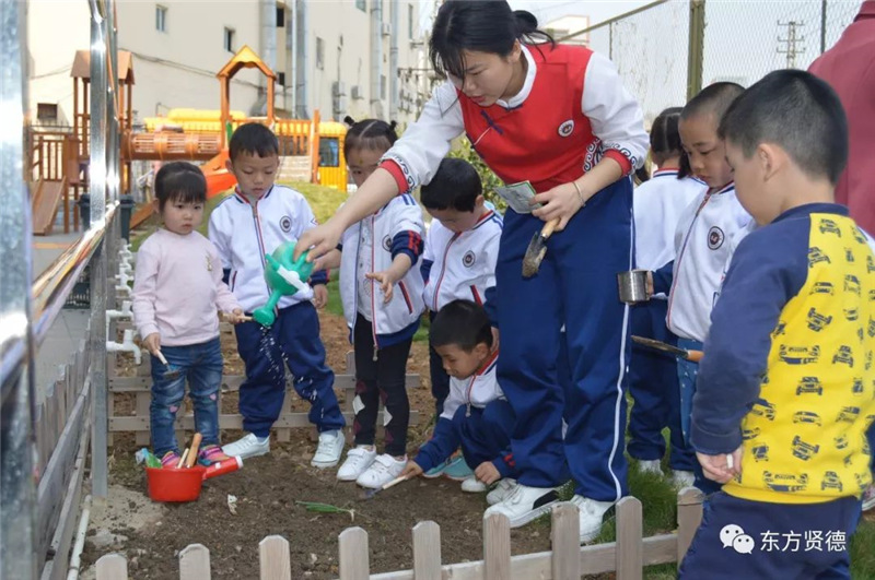 植树节洒水施肥播种