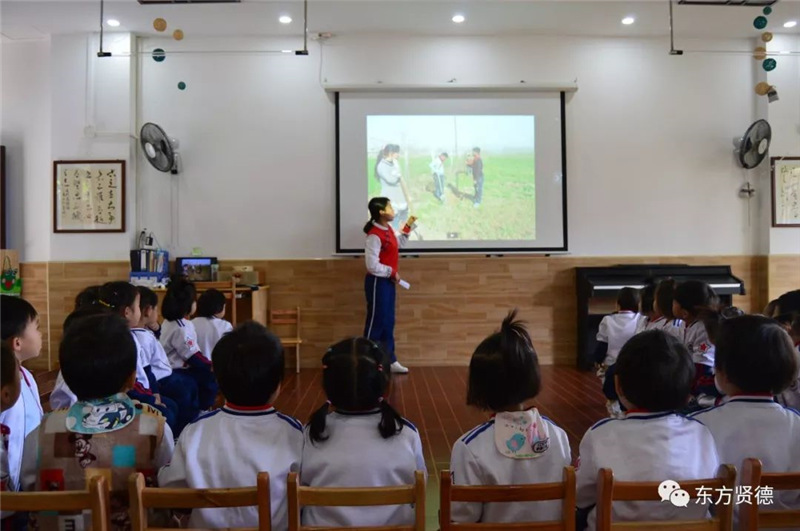 老师教孩子们认识植物成长过程