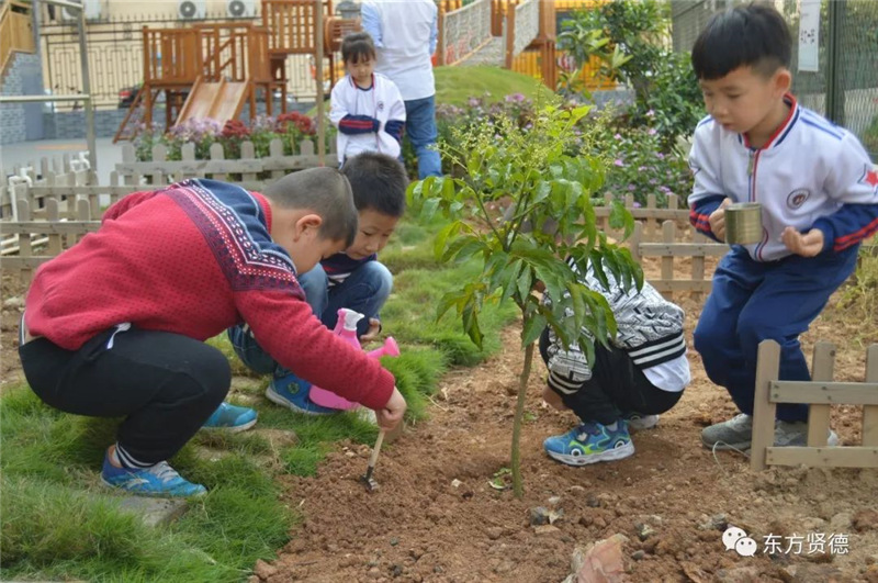 为树苗培土的孩子们
