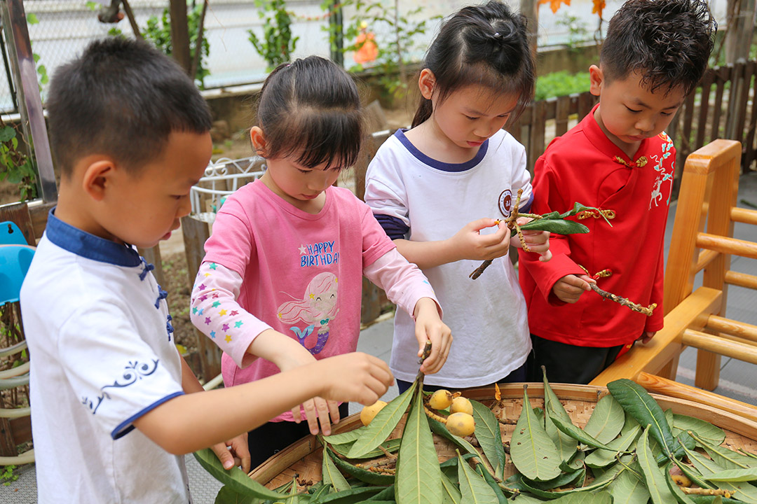 松岗国学幼儿园 松岗国学幼儿园